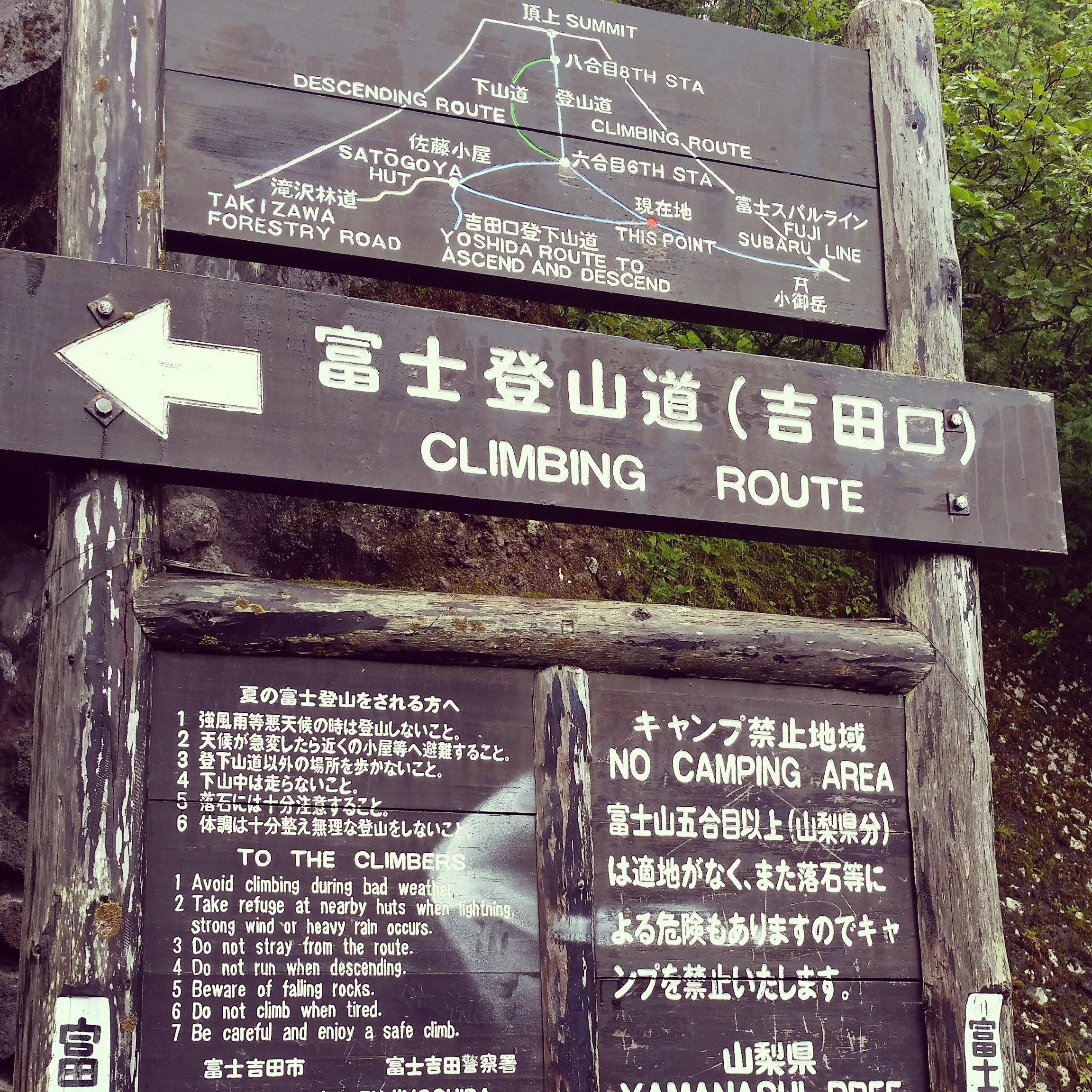 signs-2